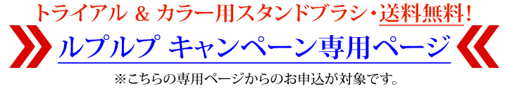 限定キャンペーン専用申込ページ
